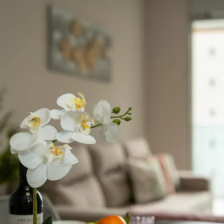 Alameda Formosa Varanda Zona Turistica Διαμέρισμα *